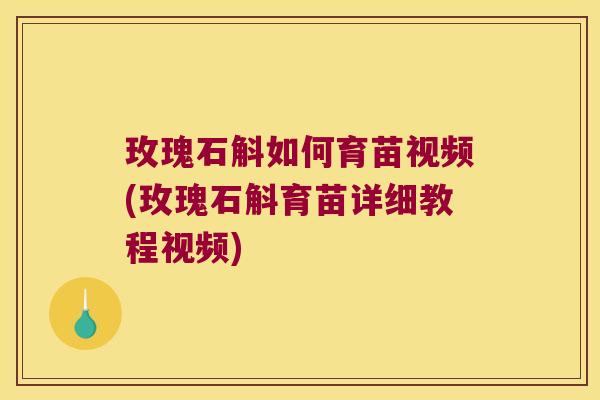 玫瑰石斛如何育苗视频(玫瑰石斛育苗详细教程视频)