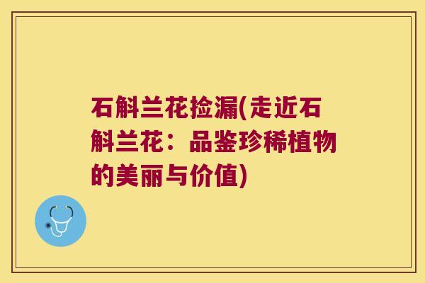 石斛兰花捡漏(走近石斛兰花：品鉴珍稀植物的美丽与价值)
