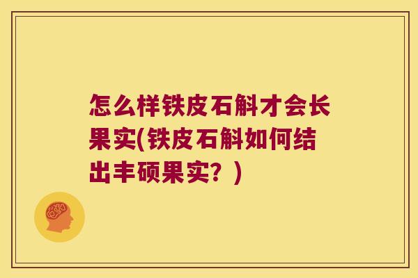 怎么样铁皮石斛才会长果实(铁皮石斛如何结出丰硕果实？)