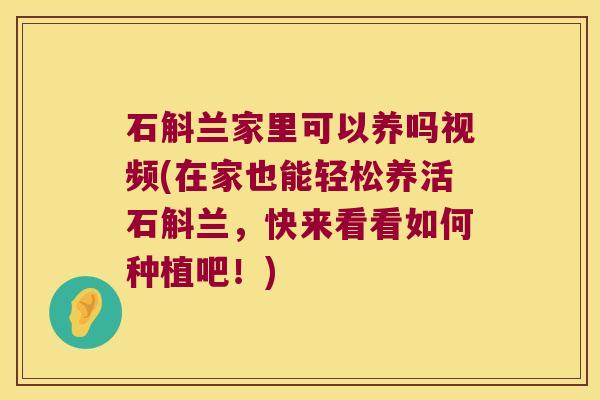 石斛兰家里可以养吗视频(在家也能轻松养活石斛兰，快来看看如何种植吧！)