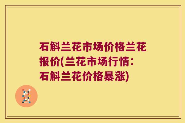 石斛兰花市场价格兰花报价(兰花市场行情：石斛兰花价格暴涨)