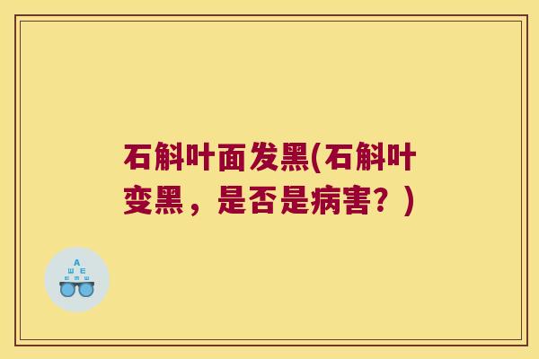 石斛叶面发黑(石斛叶变黑，是否是害？)
