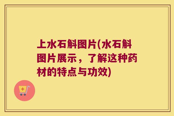 上水石斛图片(水石斛图片展示，了解这种药材的特点与功效)