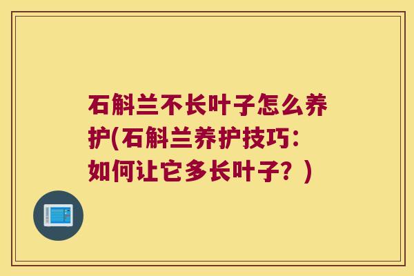 石斛兰不长叶子怎么养护(石斛兰养护技巧：如何让它多长叶子？)