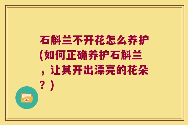 石斛兰不开花怎么养护(如何正确养护石斛兰，让其开出漂亮的花朵？)