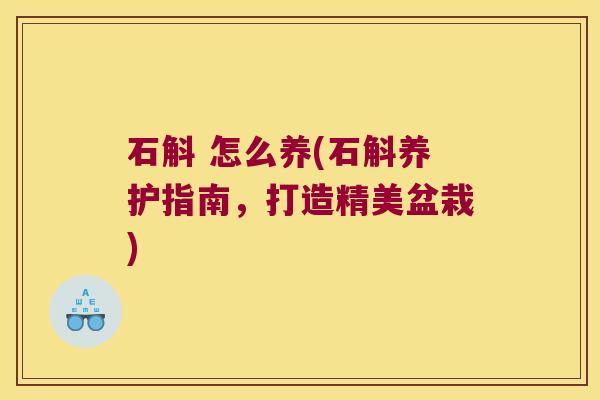 石斛 怎么养(石斛养护指南，打造精美盆栽)