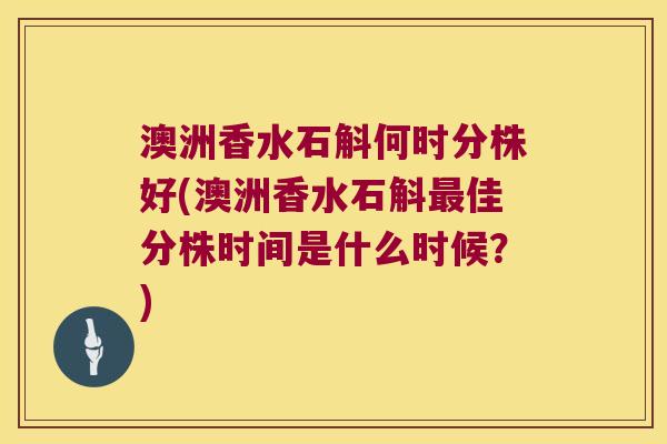 澳洲香水石斛何时分株好(澳洲香水石斛最佳分株时间是什么时候？)