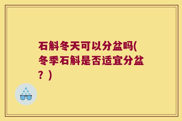 石斛冬天可以分盆吗(冬季石斛是否适宜分盆？)