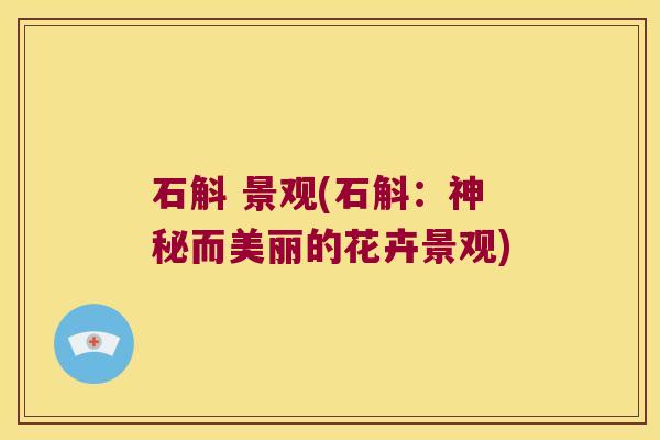 石斛 景观(石斛：神秘而美丽的花卉景观)