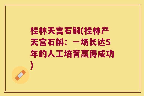 桂林天宫石斛(桂林产天宫石斛：一场长达5年的人工培育赢得成功)