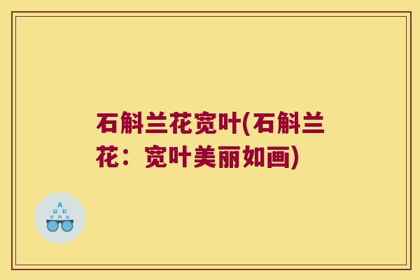 石斛兰花宽叶(石斛兰花：宽叶美丽如画)