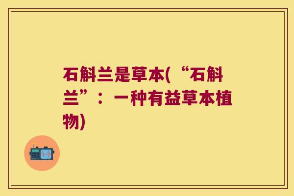 石斛兰是草本(“石斛兰”：一种有益草本植物)