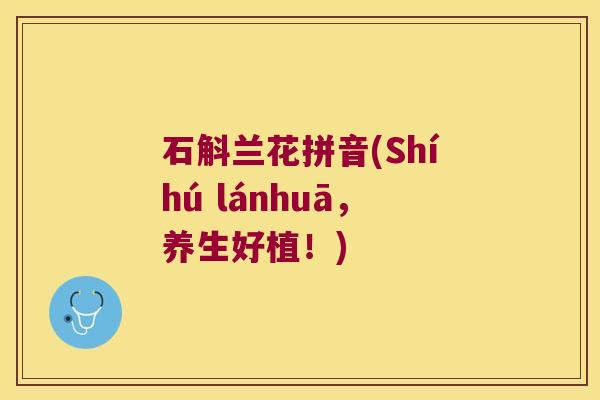 石斛兰花拼音(Shíhú lánhuā，养生好植！)