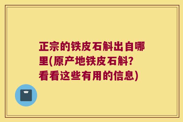 正宗的铁皮石斛出自哪里(原产地铁皮石斛？看看这些有用的信息)