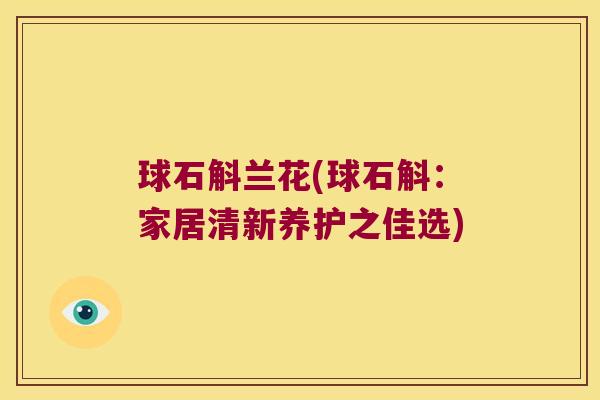 球石斛兰花(球石斛：家居清新养护之佳选)