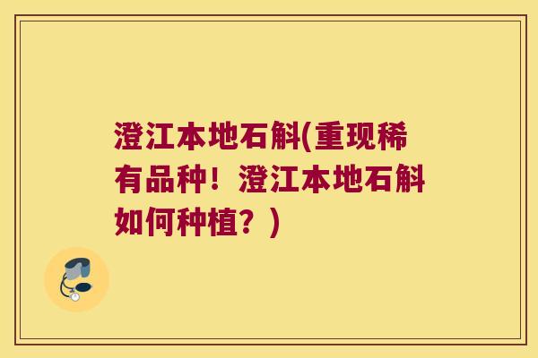 澄江本地石斛(重现稀有品种！澄江本地石斛如何种植？)