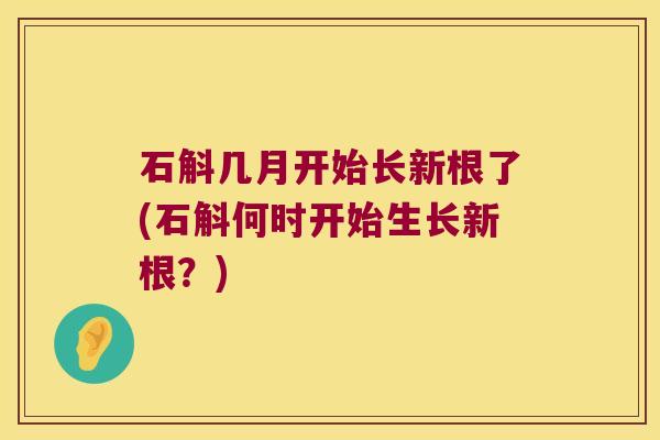 石斛几月开始长新根了(石斛何时开始生长新根？)