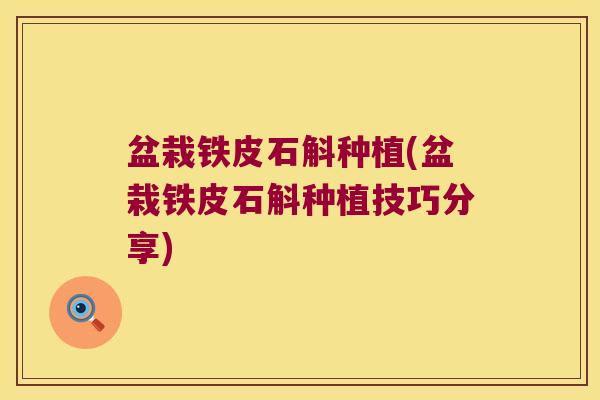 盆栽铁皮石斛种植(盆栽铁皮石斛种植技巧分享)