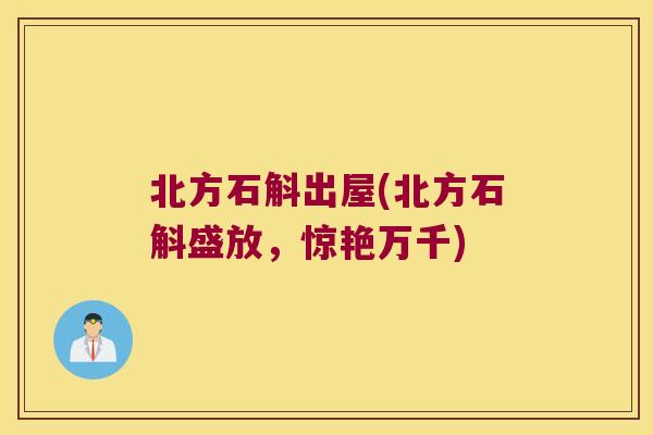 北方石斛出屋(北方石斛盛放，惊艳万千)