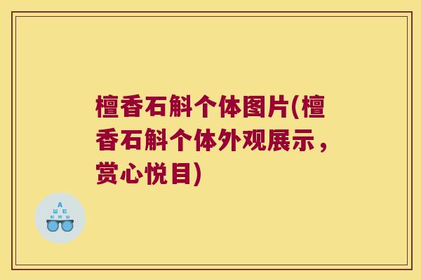 檀香石斛个体图片(檀香石斛个体外观展示，赏心悦目)