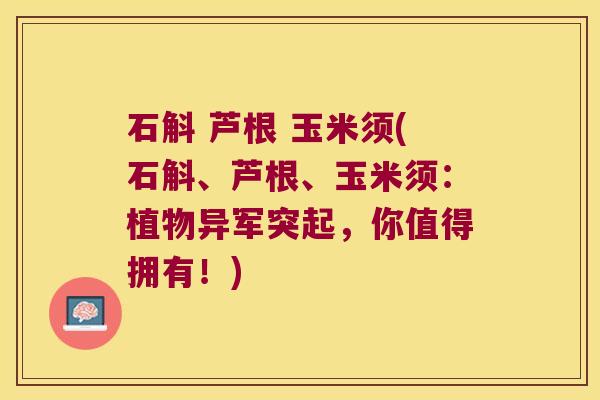 石斛 芦根 玉米须(石斛、芦根、玉米须：植物异军突起，你值得拥有！)