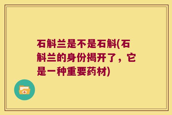 石斛兰是不是石斛(石斛兰的身份揭开了，它是一种重要药材)