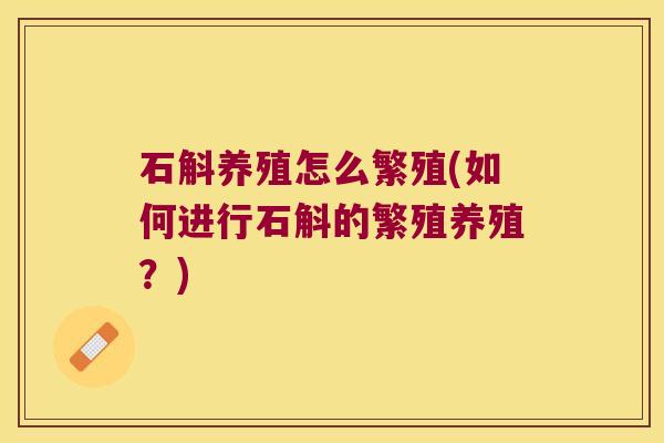 石斛养殖怎么繁殖(如何进行石斛的繁殖养殖？)