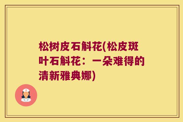 松树皮石斛花(松皮斑叶石斛花：一朵难得的清新雅典娜)