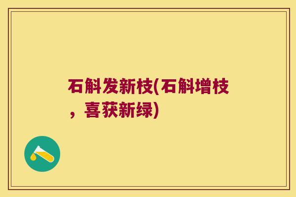 石斛发新枝(石斛增枝，喜获新绿)