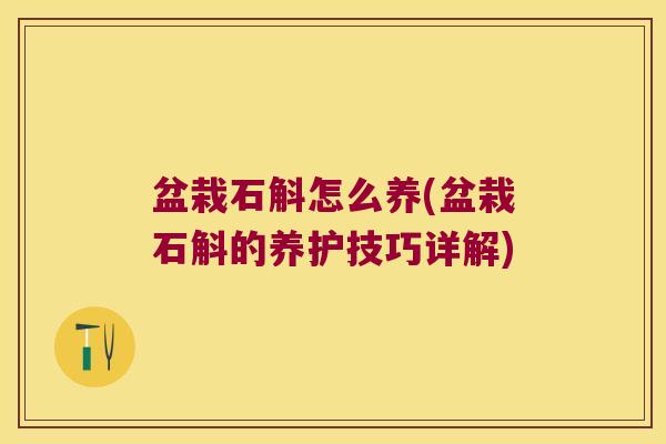 盆栽石斛怎么养(盆栽石斛的养护技巧详解)