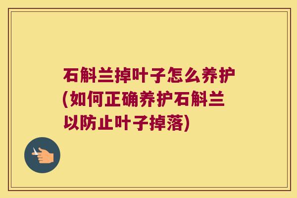 石斛兰掉叶子怎么养护(如何正确养护石斛兰以防止叶子掉落) 石斛兰掉叶子怎么养护(如何正确养护石斛兰以防止叶子掉落)