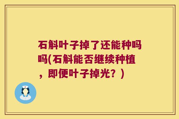 石斛叶子掉了还能种吗吗(石斛能否继续种植，即便叶子掉光？)