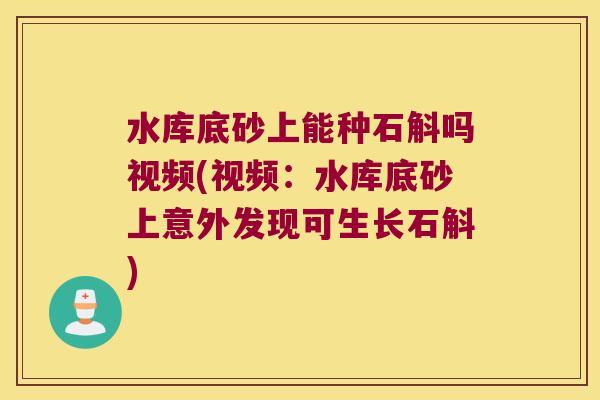 水库底砂上能种石斛吗视频(视频：水库底砂上意外发现可生长石斛)