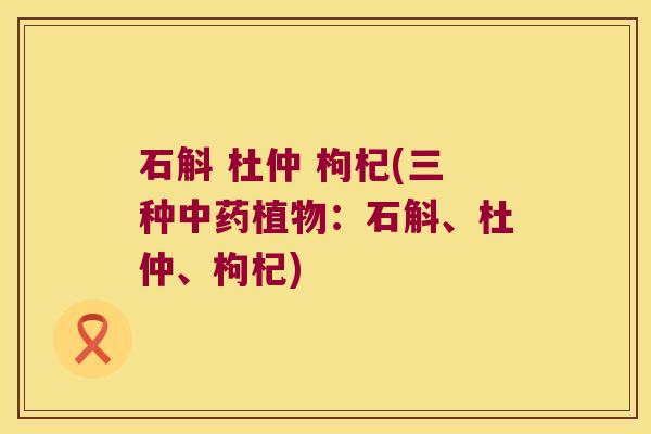 石斛 杜仲 枸杞(三种中药植物：石斛、杜仲、枸杞)