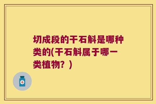 切成段的干石斛是哪种类的(干石斛属于哪一类植物？)