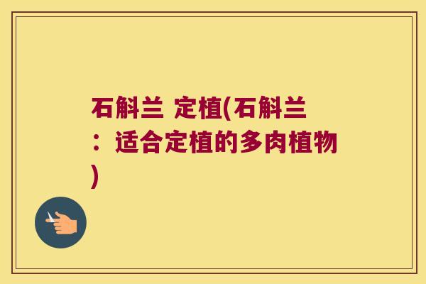 石斛兰 定植(石斛兰：适合定植的多肉植物)