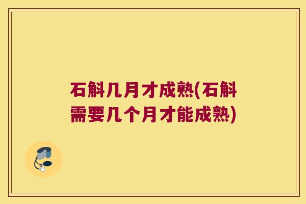 石斛几月才成熟(石斛需要几个月才能成熟)