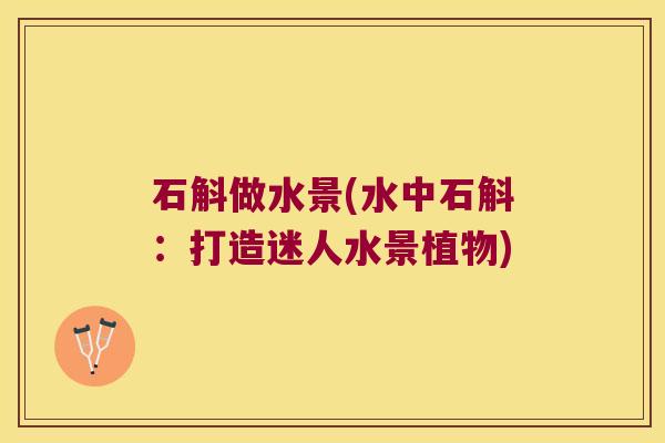 石斛做水景(水中石斛：打造迷人水景植物)