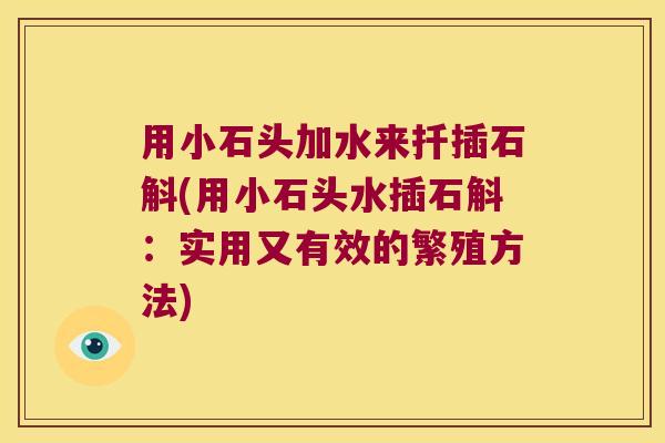 用小石头加水来扦插石斛(用小石头水插石斛：实用又有效的繁殖方法)