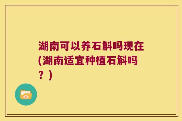 湖南可以养石斛吗现在(湖南适宜种植石斛吗？)
