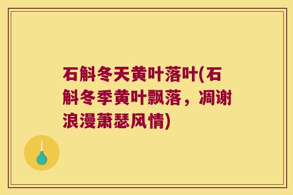 石斛冬天黄叶落叶(石斛冬季黄叶飘落，凋谢浪漫萧瑟风情)