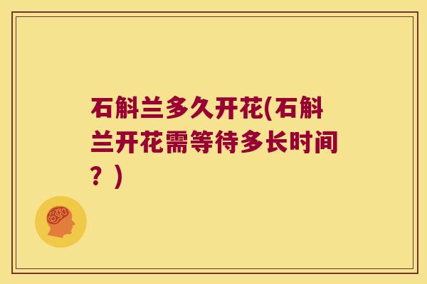 石斛兰多久开花(石斛兰开花需等待多长时间？)