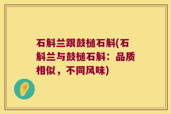 石斛兰跟鼓槌石斛(石斛兰与鼓槌石斛：品质相似，不同风味)