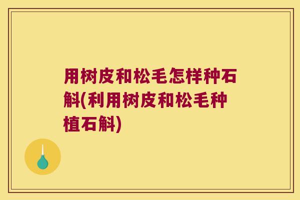 用树皮和松毛怎样种石斛(利用树皮和松毛种植石斛)