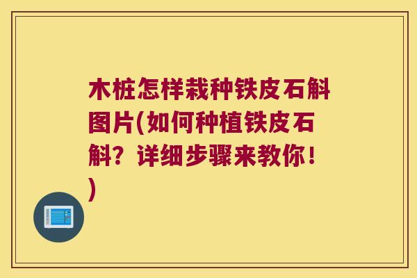 木桩怎样栽种铁皮石斛图片(如何种植铁皮石斛？详细步骤来教你！)