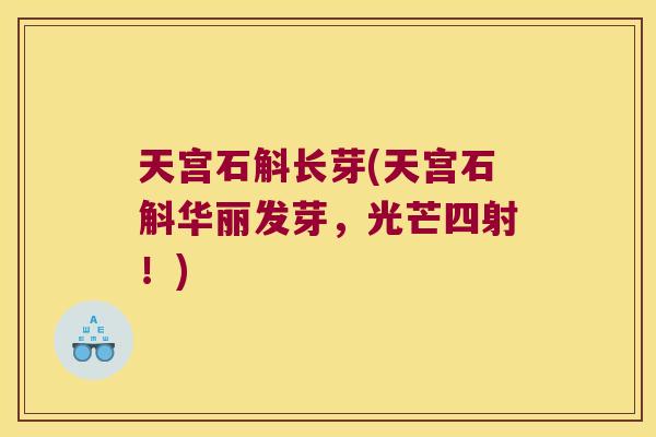 天宫石斛长芽(天宫石斛华丽发芽，光芒四射！)