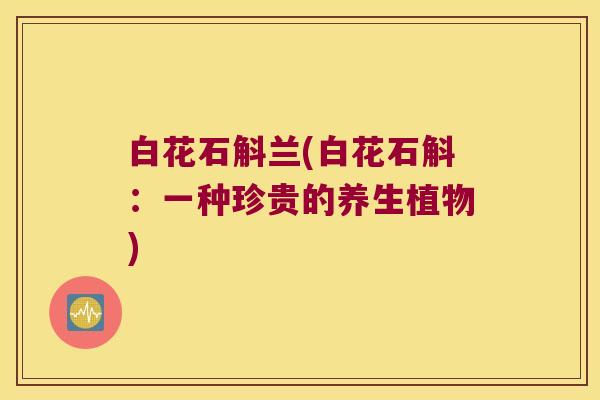 白花石斛兰(白花石斛：一种珍贵的养生植物)