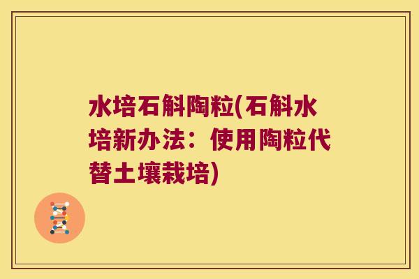 水培石斛陶粒(石斛水培新办法：使用陶粒代替土壤栽培)