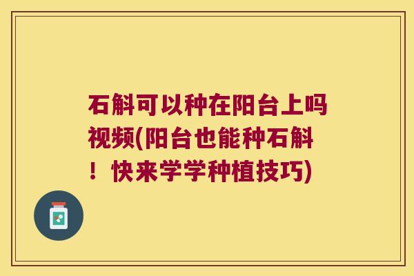 石斛可以种在阳台上吗视频(阳台也能种石斛！快来学学种植技巧)