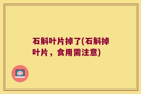 石斛叶片掉了(石斛掉叶片，食用需注意)